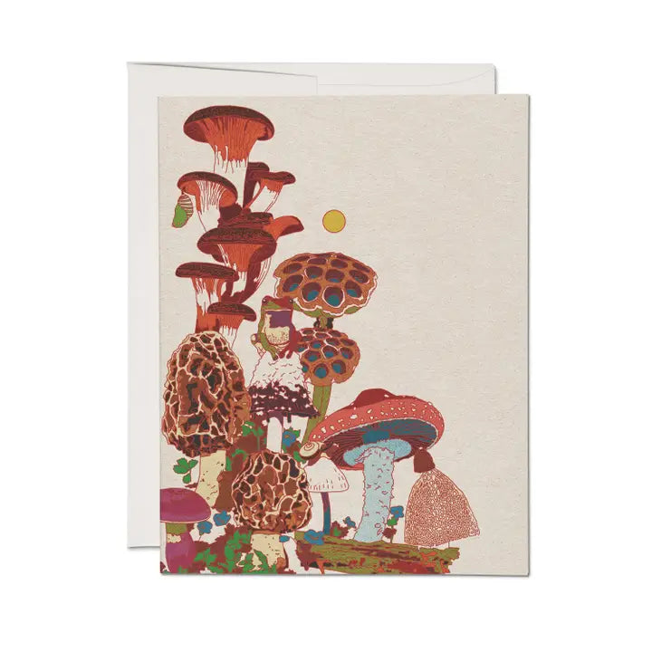 Red Cap Cards - Frog and Fungi Greeting Card