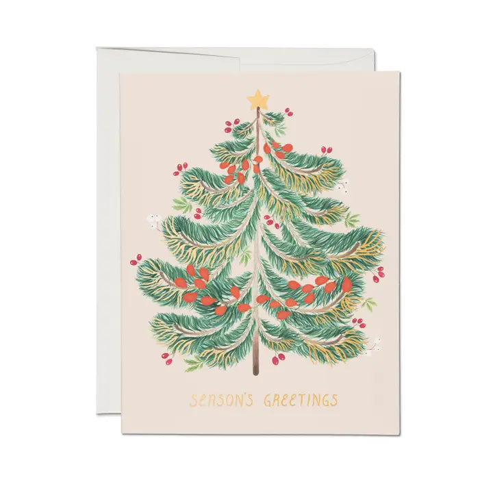 Red Cap Cards – Festive Evergreen Holiday Card