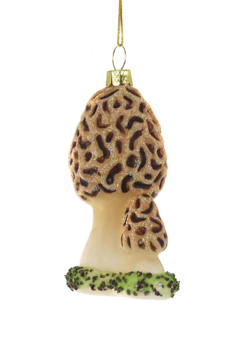 Cody Foster – Morel Mushroom