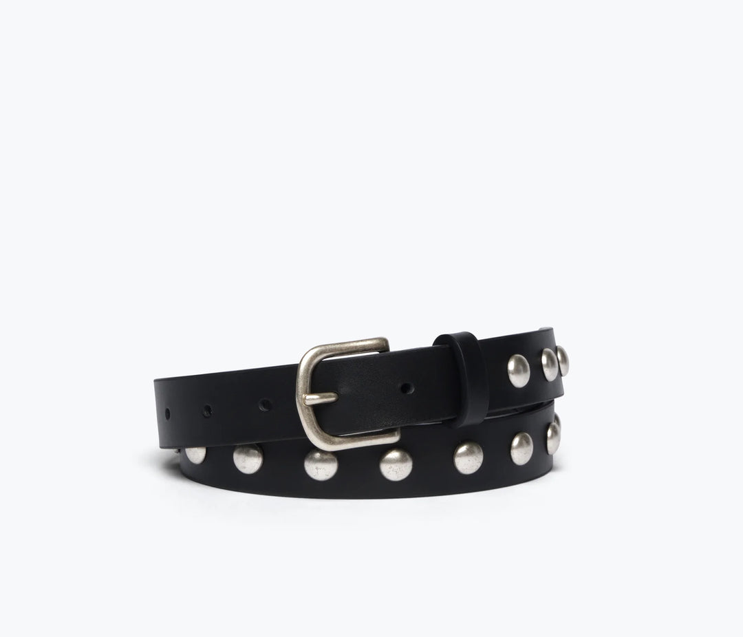 Freda Salvador – Rebecca Belt in Black Calf with Studs