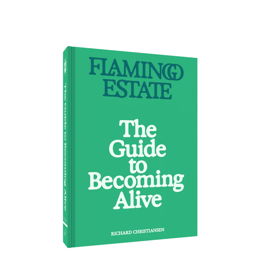 Flamingo Estate – Guide to Becoming Alive