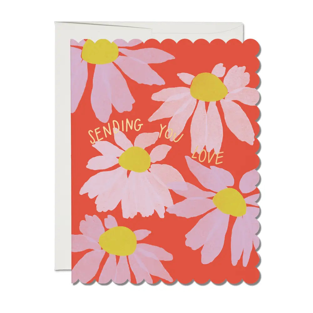Red Cap Cards – Scalloped Coneflower Sympathy Card