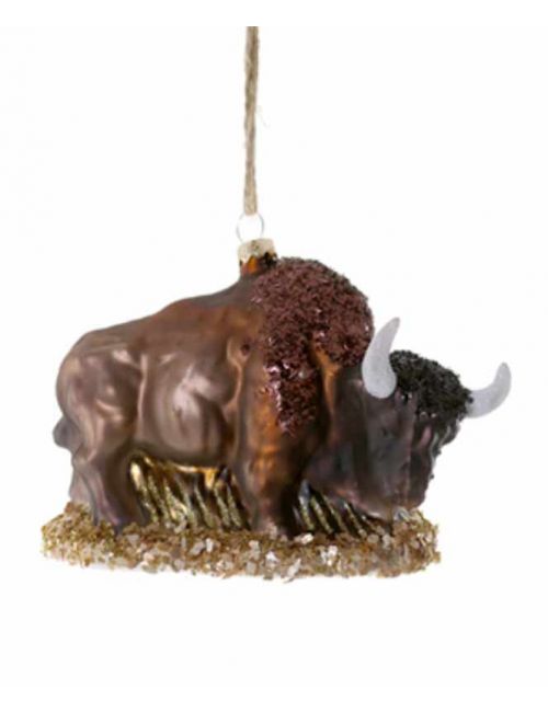 Cody Foster – Bison