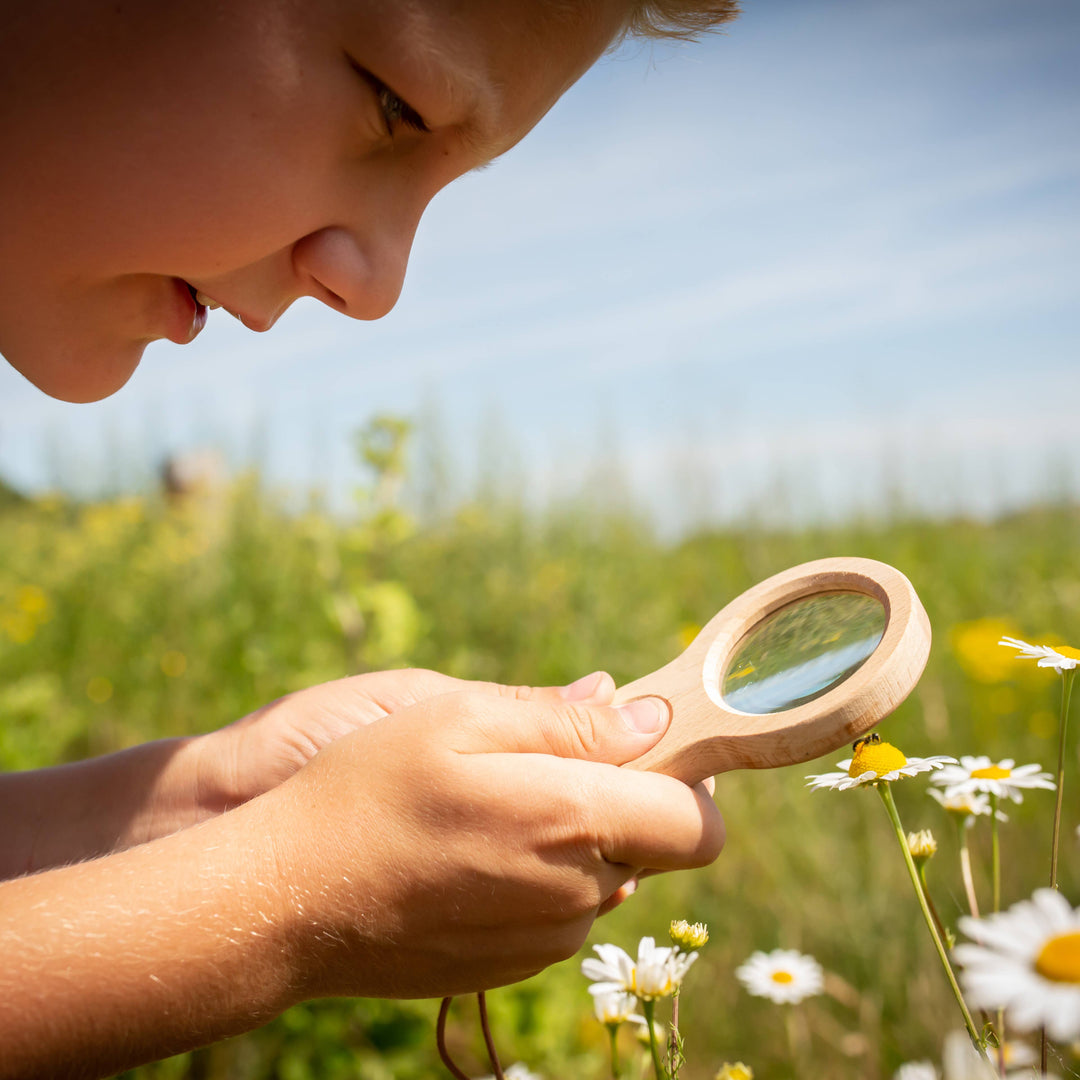Huckleberry by Kikkerland - Huckleberry Dual Magnifier