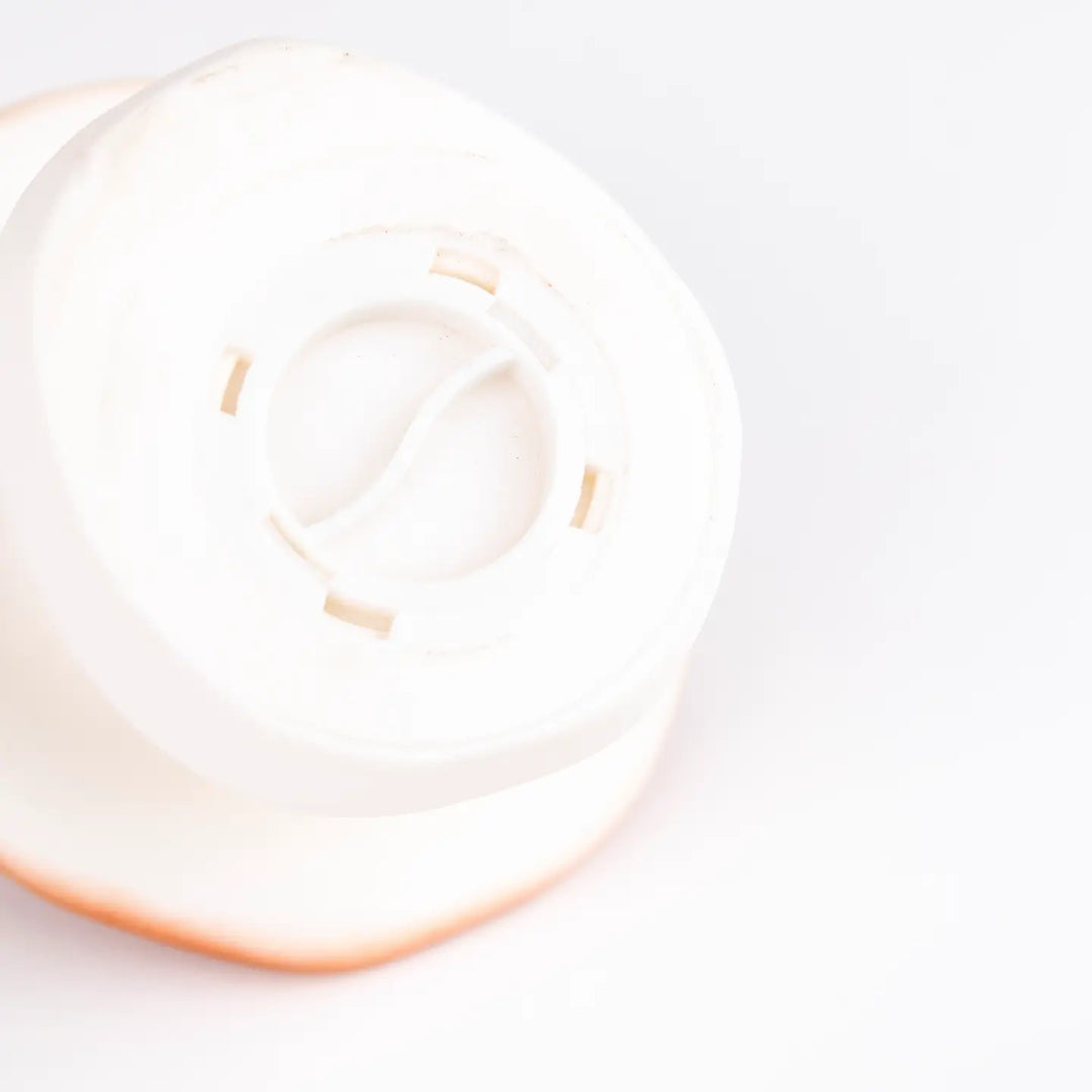 Mushroom Savings Bank in Pink