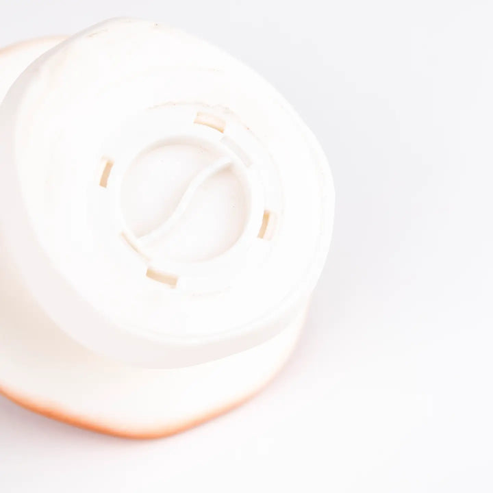 Mushroom Savings Bank in Almond