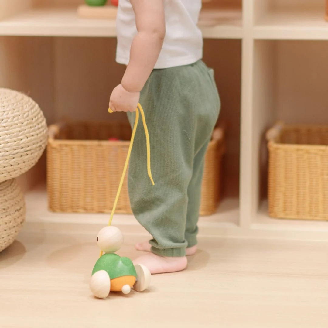PlanToys - Pull Along Duck