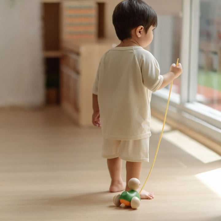 PlanToys - Pull Along Duck