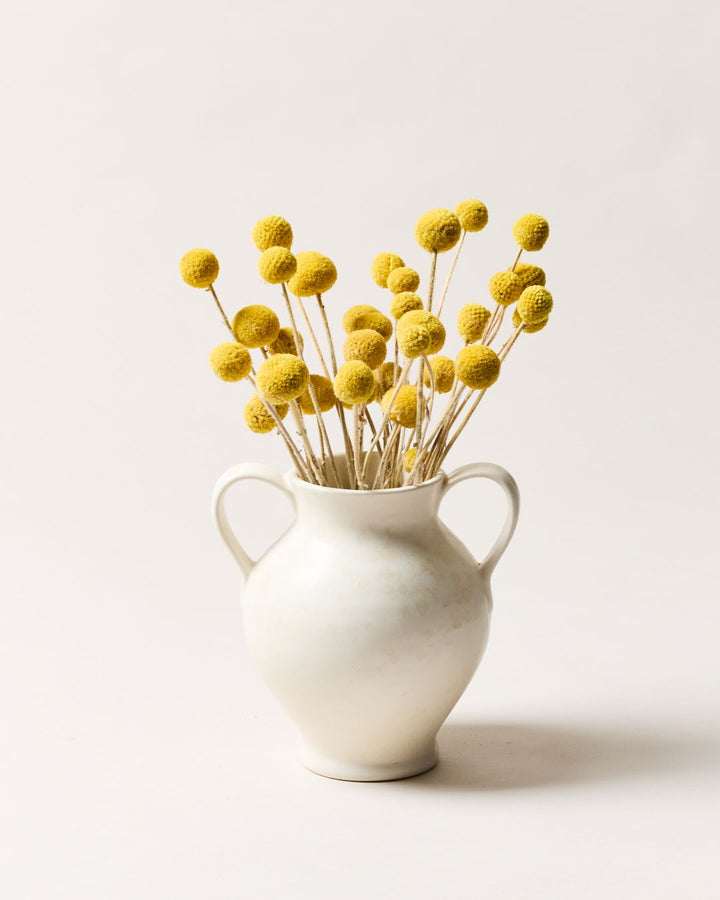 Farmhouse Pottery- Artist's Spatter Vase in Cream