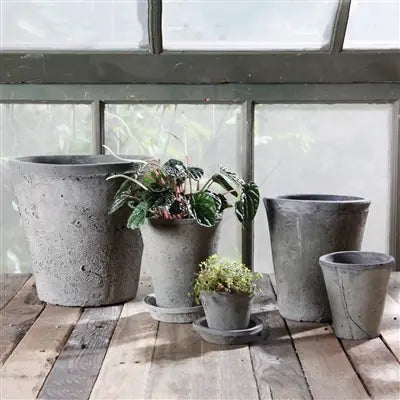 Petite Rustic Terra Cotta Rose Pot in Moss Grey