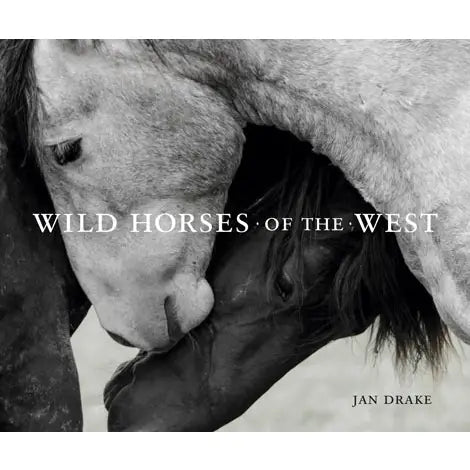 Wild Horses of the West
