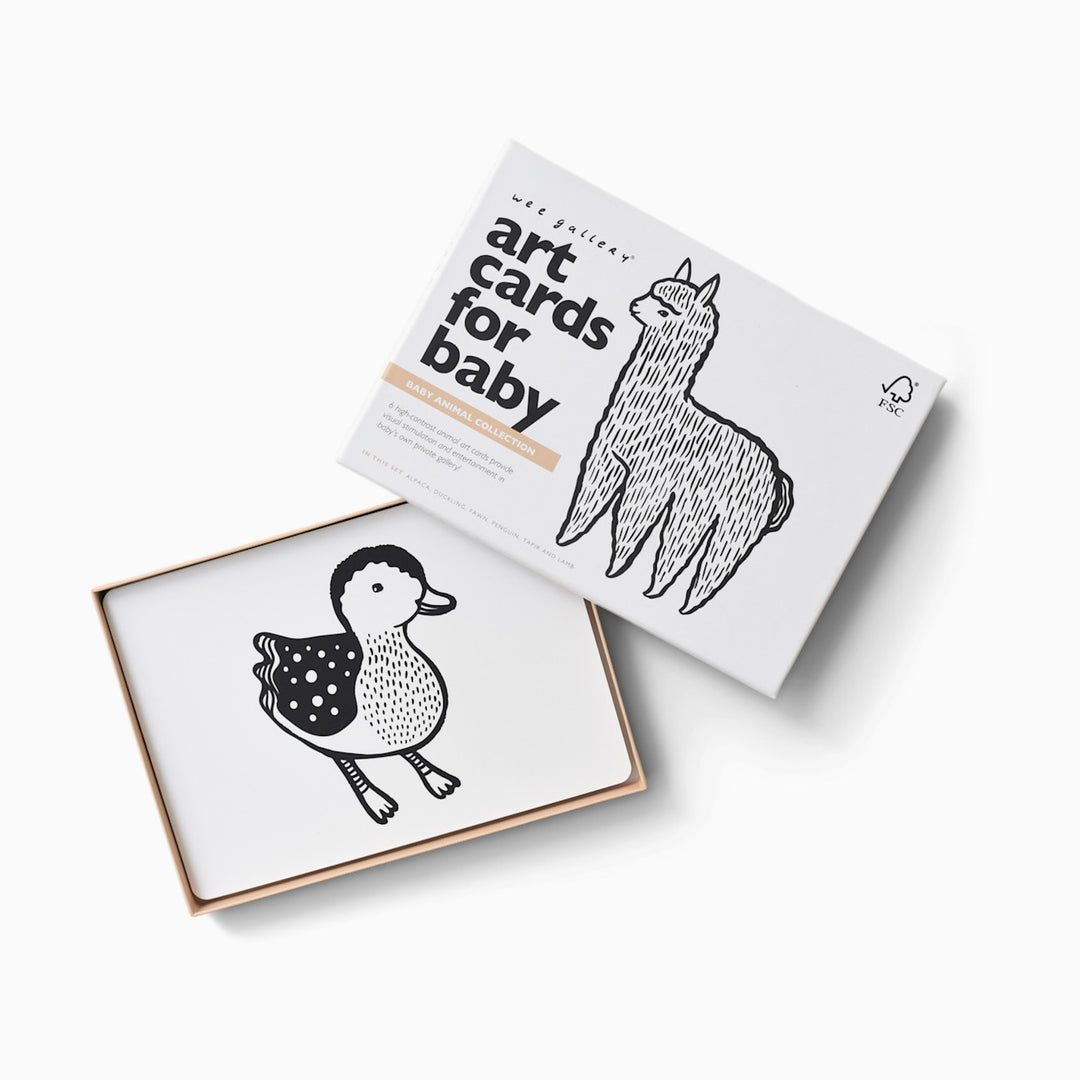Wee Gallery - Art Cards for Baby