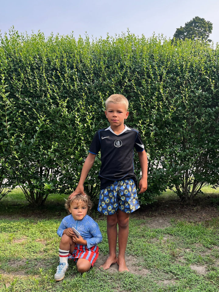 Lewis – Trail Shorts in Midnight Lion