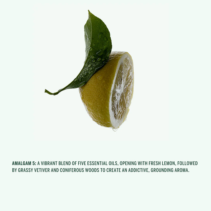 Corpus - Natural Hand Wash in Amalgam 5