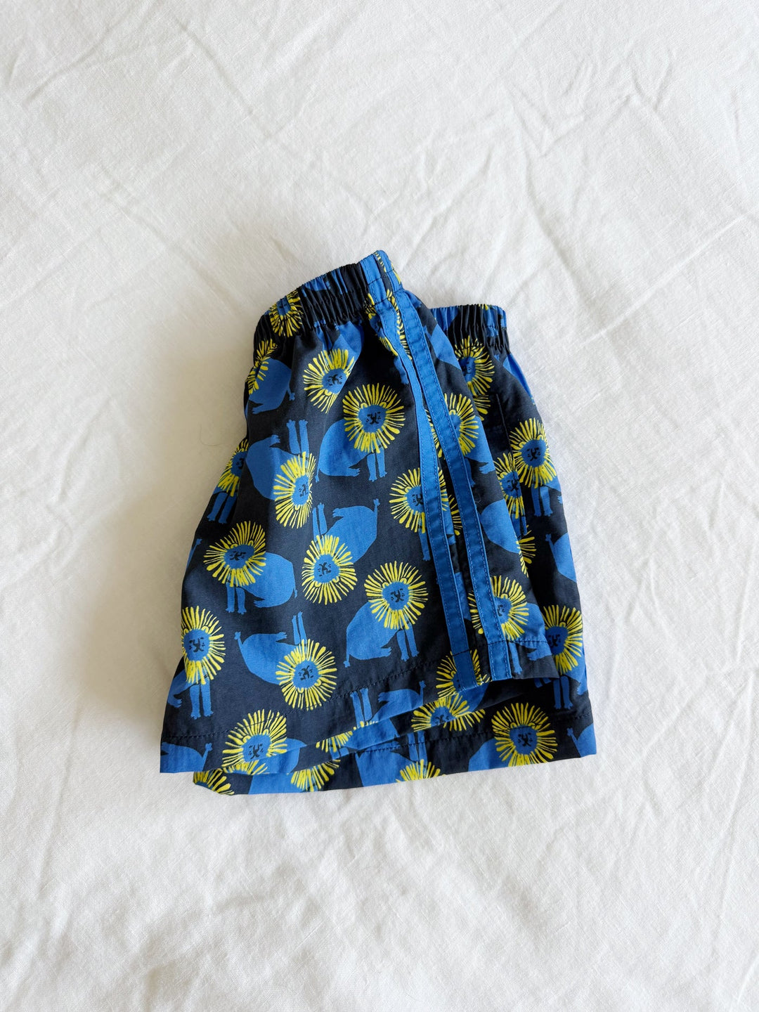 Lewis – Trail Shorts in Midnight Lion