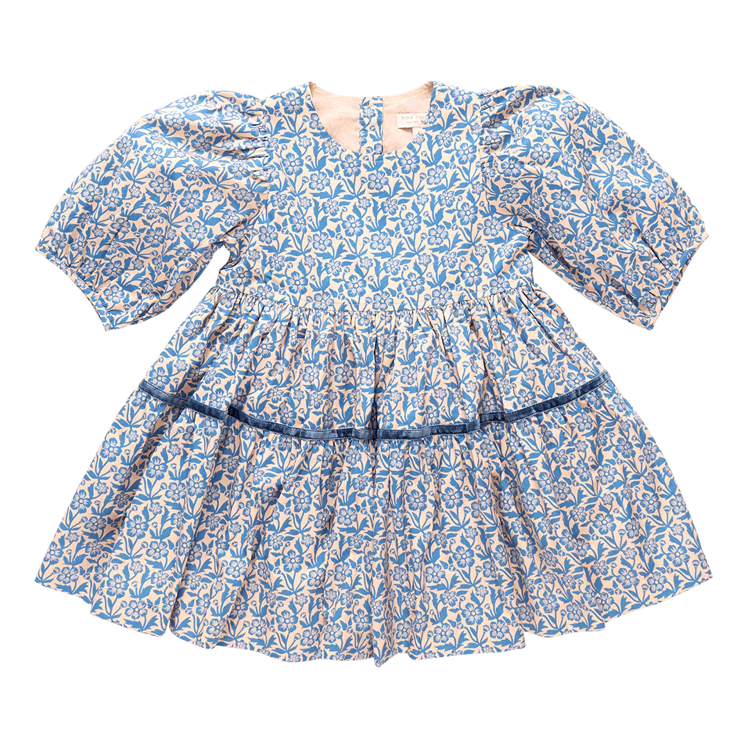 Pink Chicken – Girls Maribelle Dress in Blue Climbing Floral