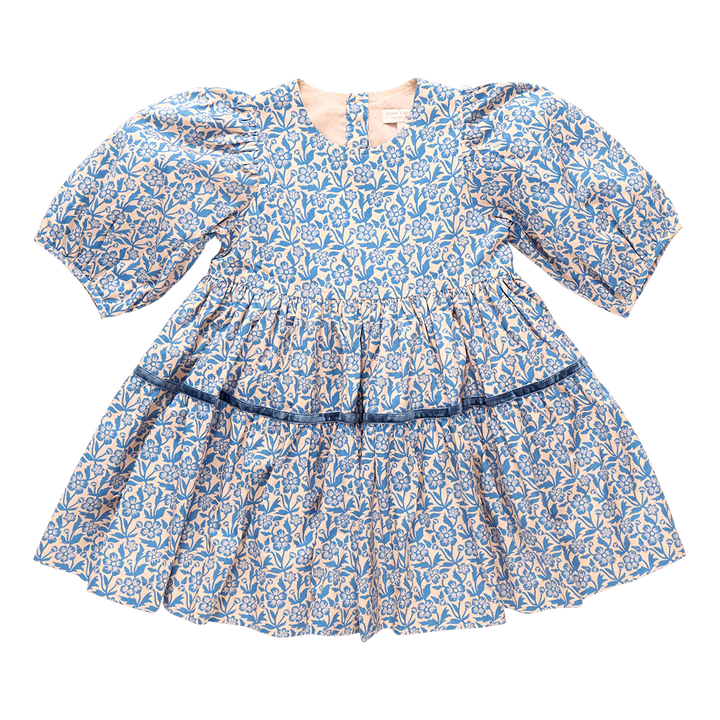 Pink Chicken – Girls Maribelle Dress in Blue Climbing Floral