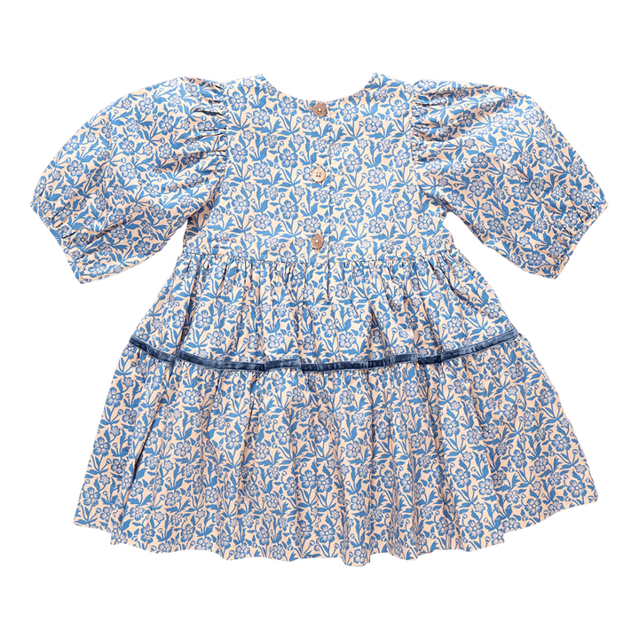 Pink Chicken – Girls Maribelle Dress in Blue Climbing Floral