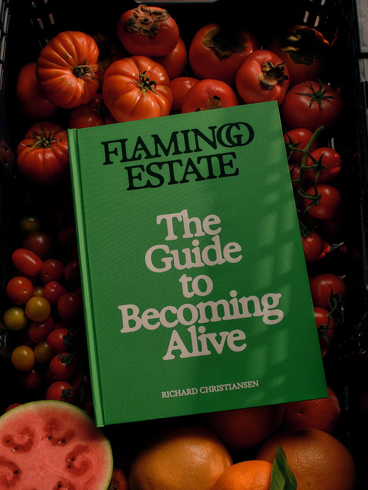 Flamingo Estate – Guide to Becoming Alive