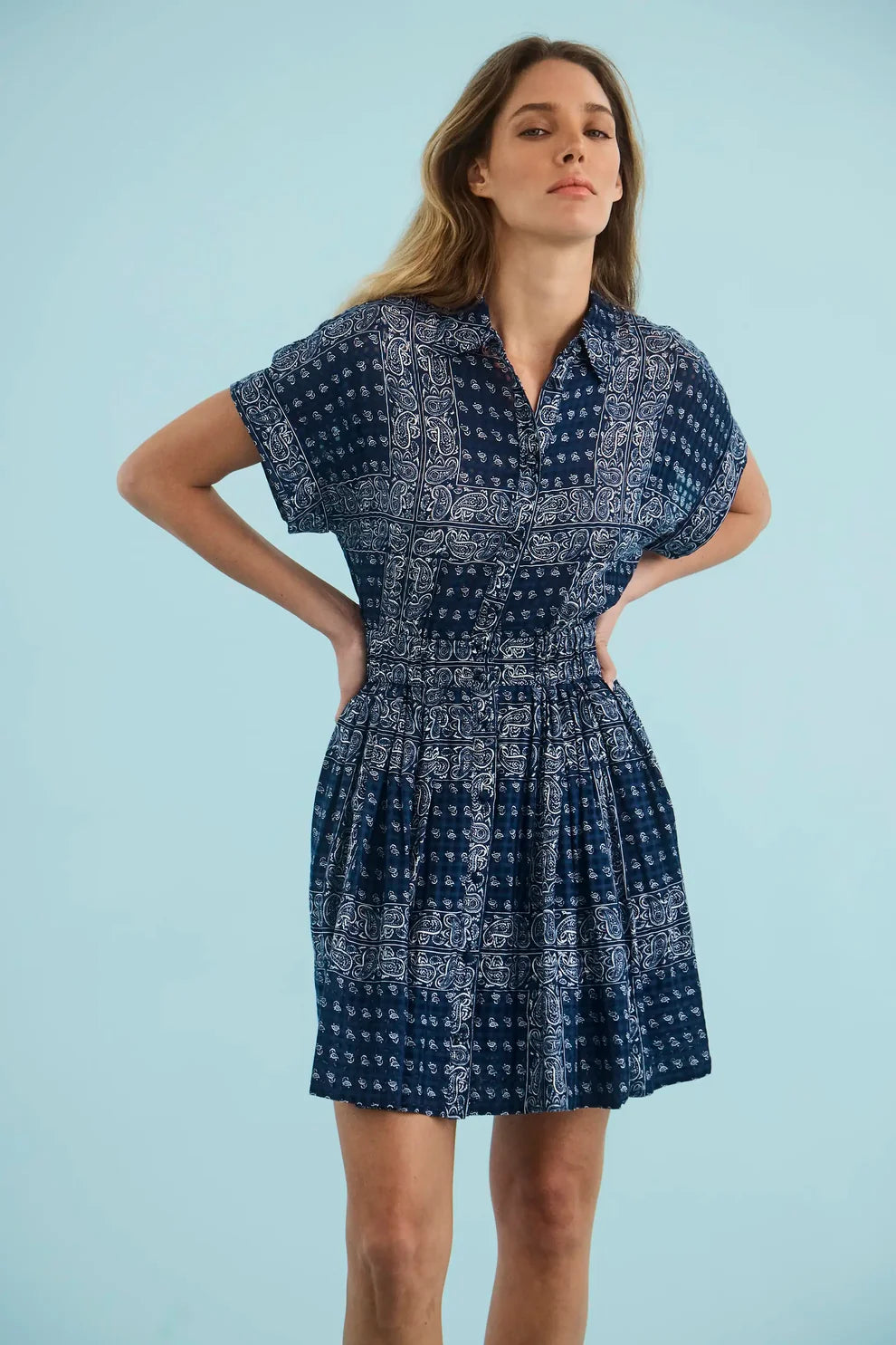 Hunter Bell - Howard Dress in Inkwell Paisley