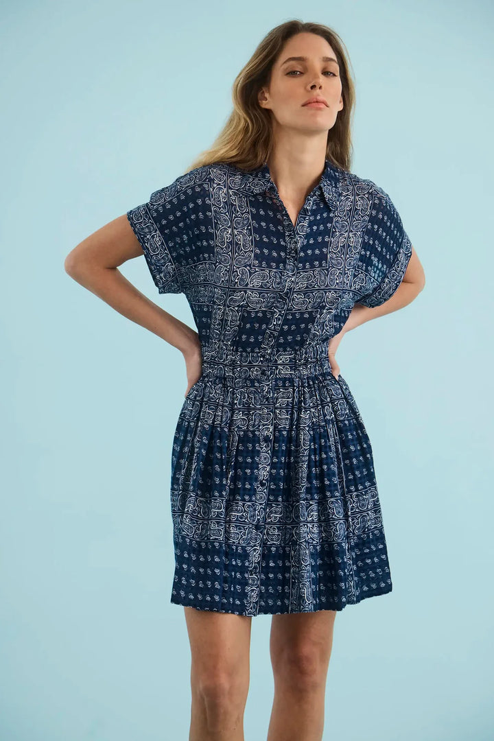 Hunter Bell - Howard Dress in Inkwell Paisley