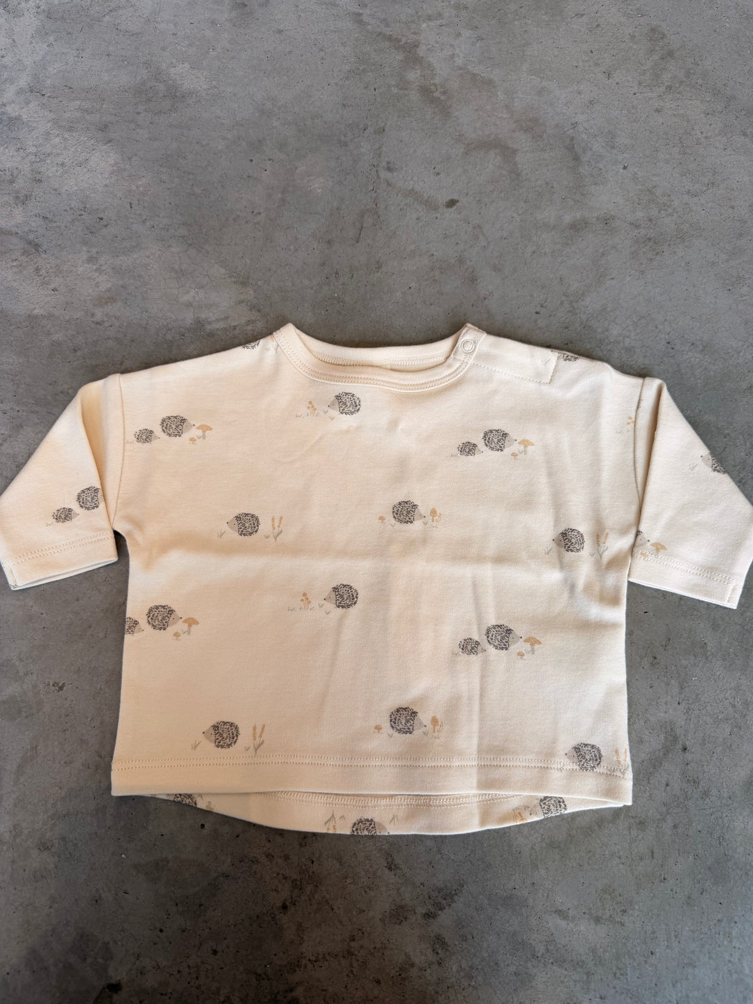 Quincy Mae - Long Sleeve Tee in Hedgehog