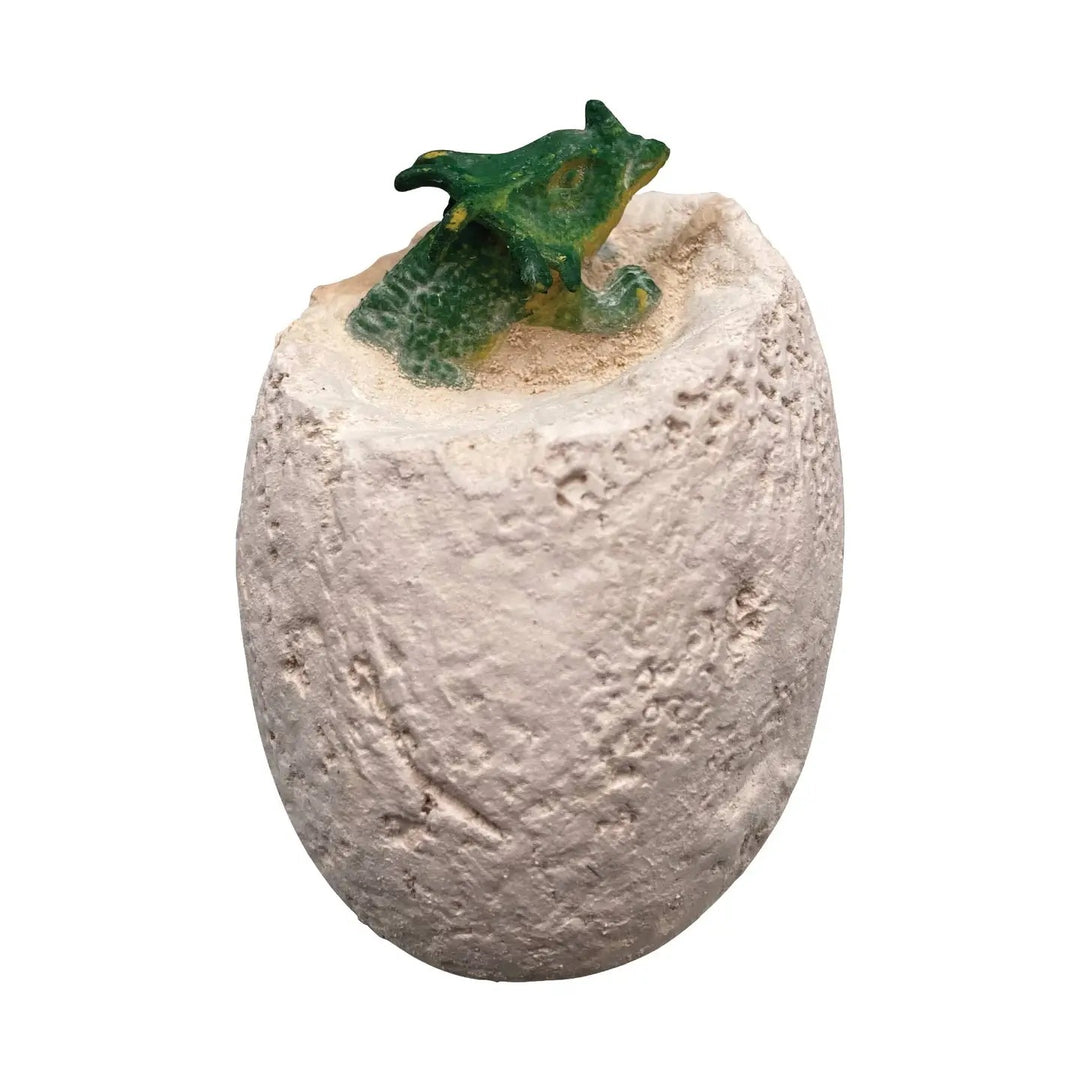 Mini Dino Dig Excavation Kit