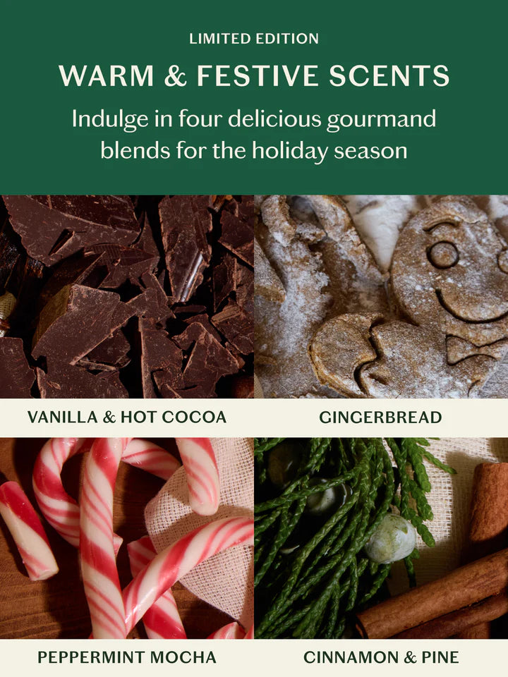 Kate Mcleod – Holiday Body Stone Mini Sampler