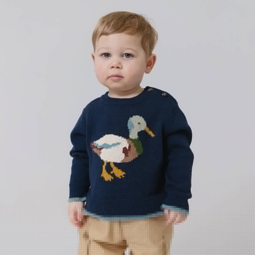 Pink Chicken – Baby Boy Noah Jumper in Mallard Embroidery