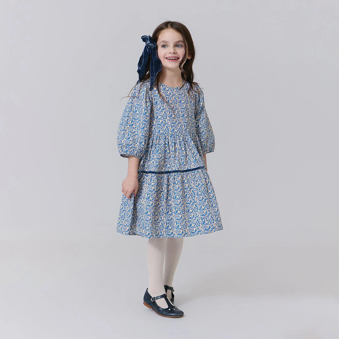 Pink Chicken – Girls Maribelle Dress in Blue Climbing Floral