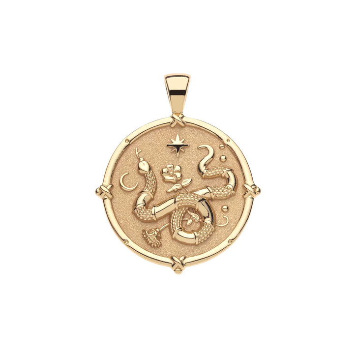 Jane Winchester - 'Protect' Year of the Snake Pendant Necklace on Drawn Link Chain