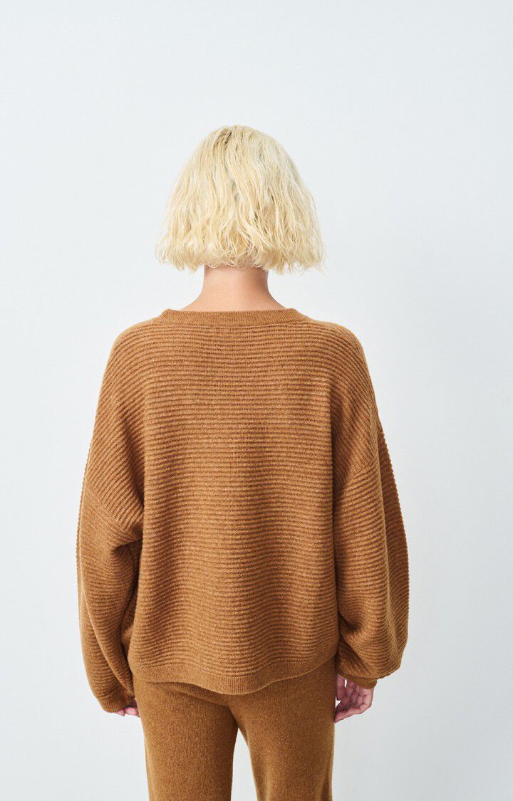 American Vintage – Raxow Jumper in Brunette