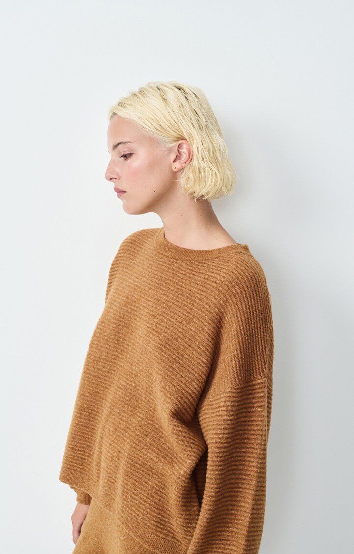 American Vintage – Raxow Jumper in Brunette