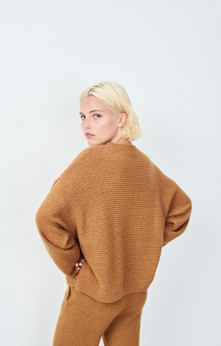 American Vintage – Raxow Jumper in Brunette