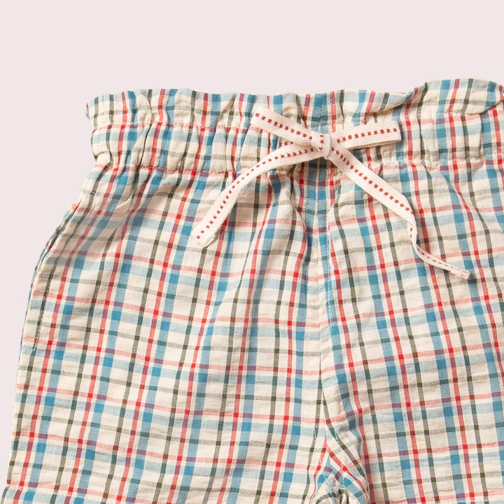 Little Green Radicals –– Checkered Seersucker Shorts in By the Sea