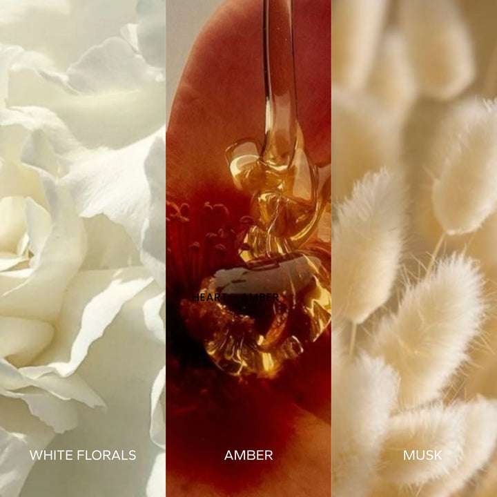 Layermor – Amal Parfum 30ml