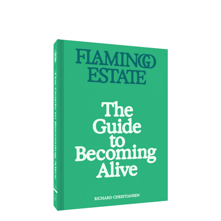 Flamingo Estate – Guide to Becoming Alive