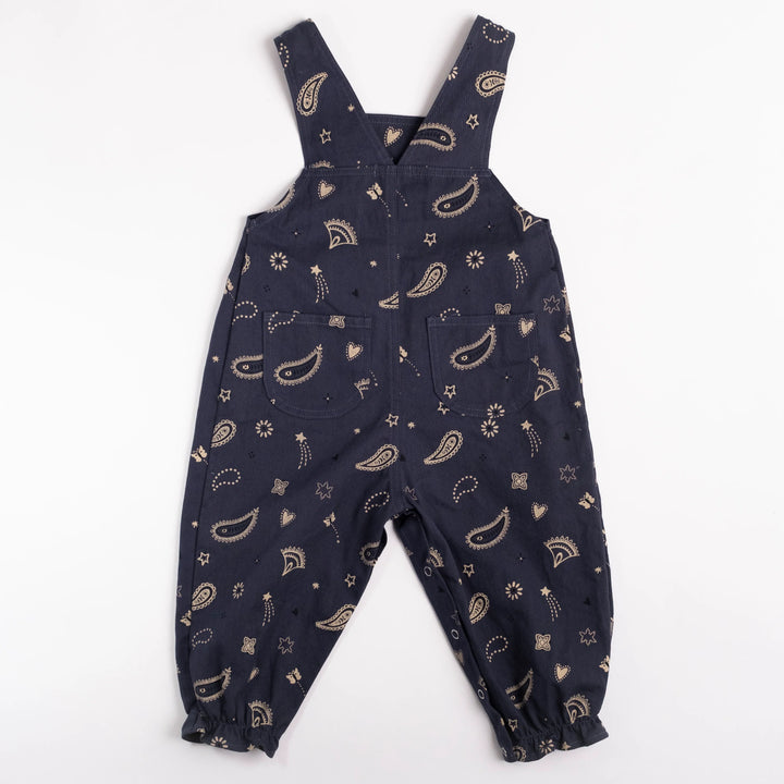 Wild Wawa- Overall Romper in Midnight Bandana