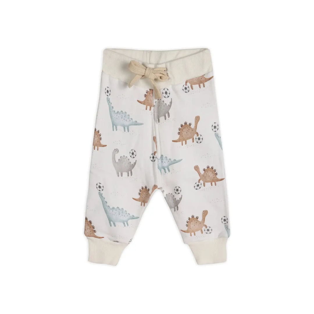 Viverano Organics – Sweatshirt & Jogger Set in Soccer Dino