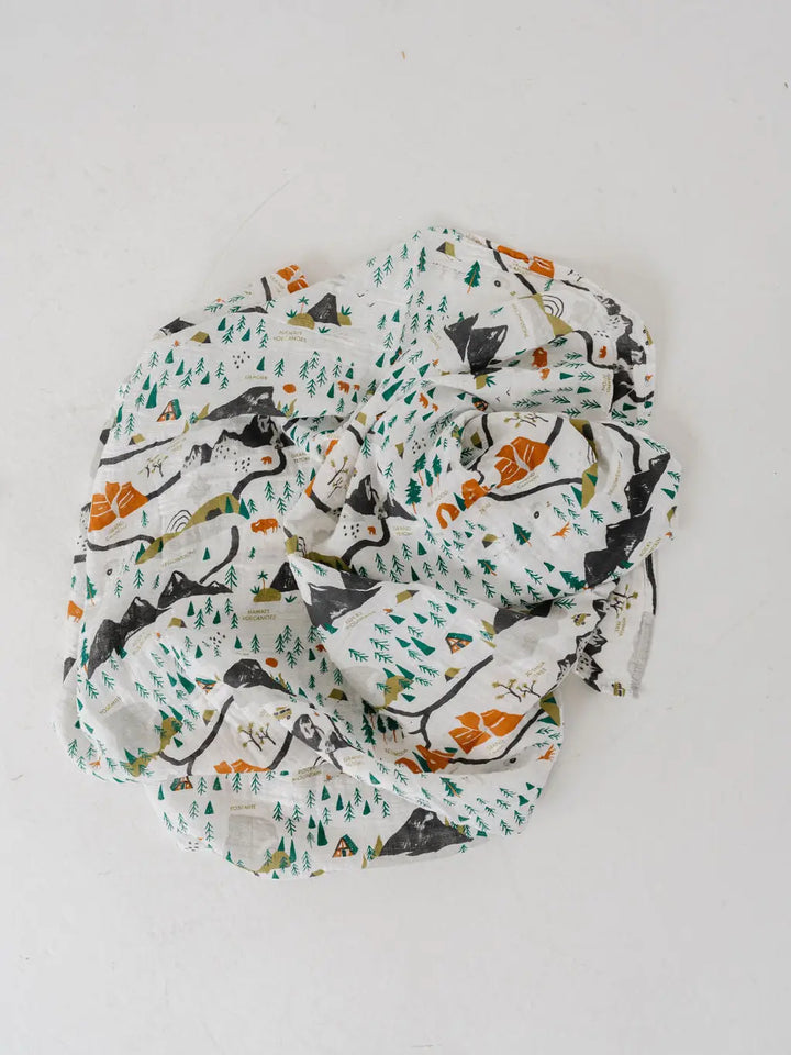 Clementine Kids – National Parks Swaddle