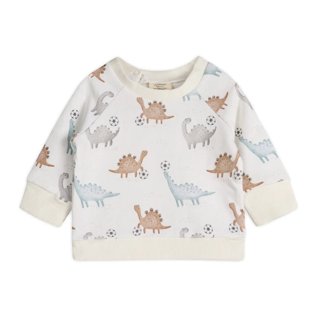 Viverano Organics – Sweatshirt & Jogger Set in Soccer Dino