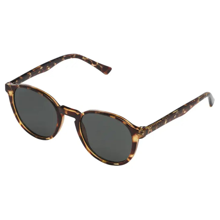 Komono – Liam in Tortoise