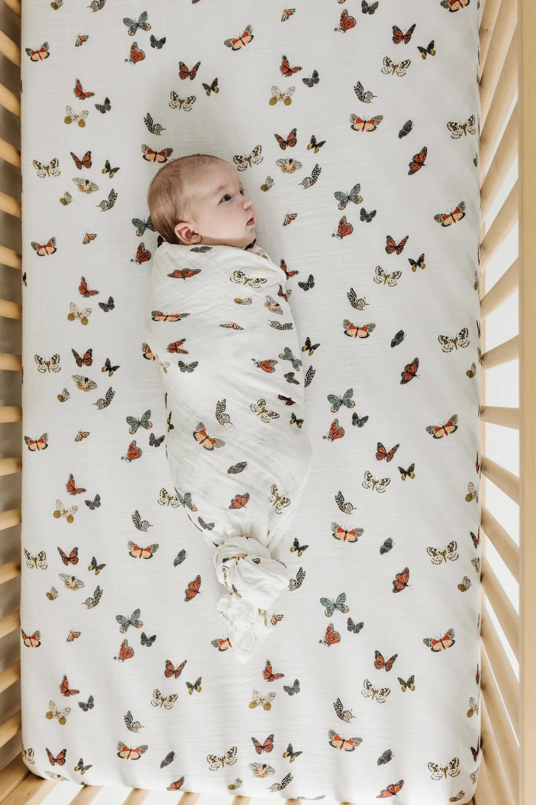 Clementine Kids – Butterfly Migration Crib Sheet
