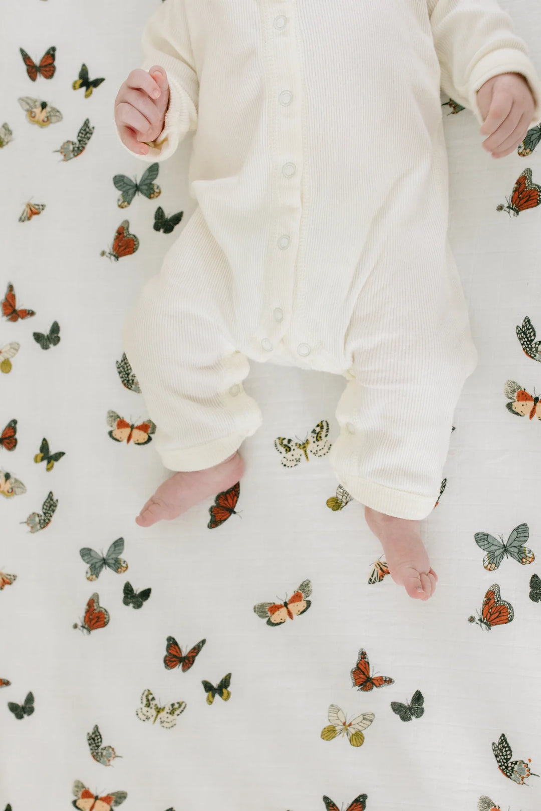 Clementine Kids – Butterfly Migration Crib Sheet