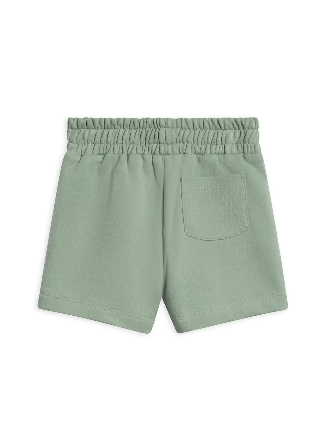 Colored Organics - Chris French Terry Shorts in Jade