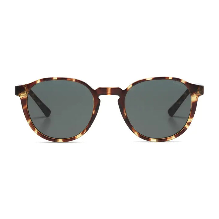 Komono – Liam in Tortoise