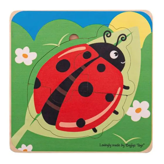 Lifecycle Layer Puzzle in Ladybug