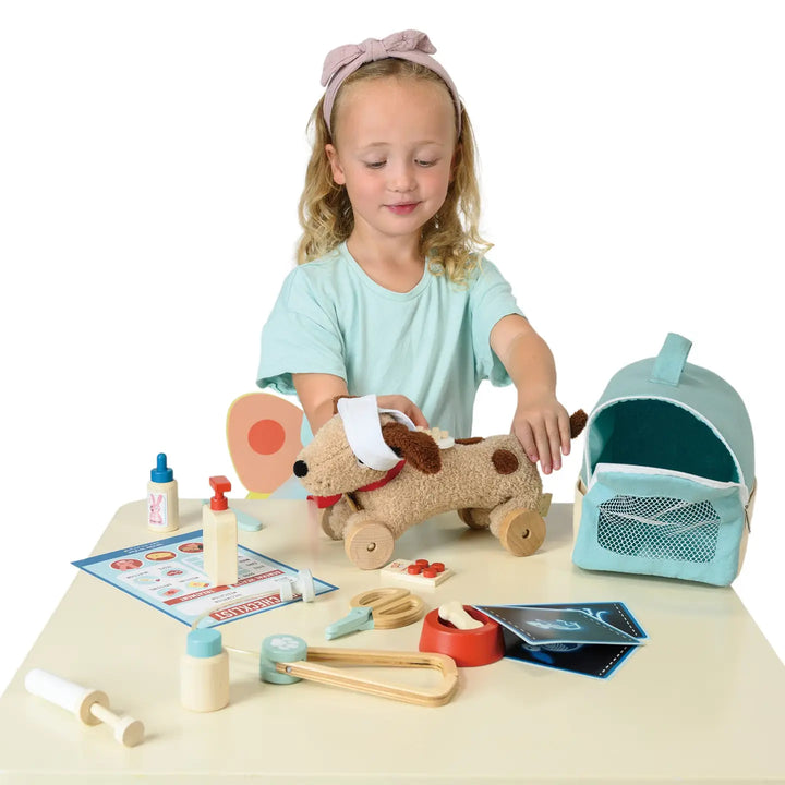 Tender Leaf Toys – Animal Rescue Vet Case