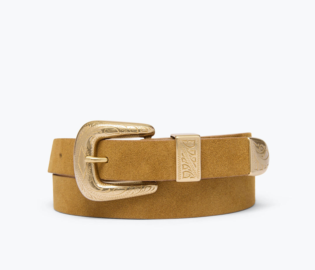Freda Salvador – Hannah Belt in Biscuit Suede