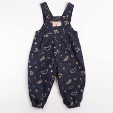 Wild Wawa- Overall Romper in Midnight Bandana